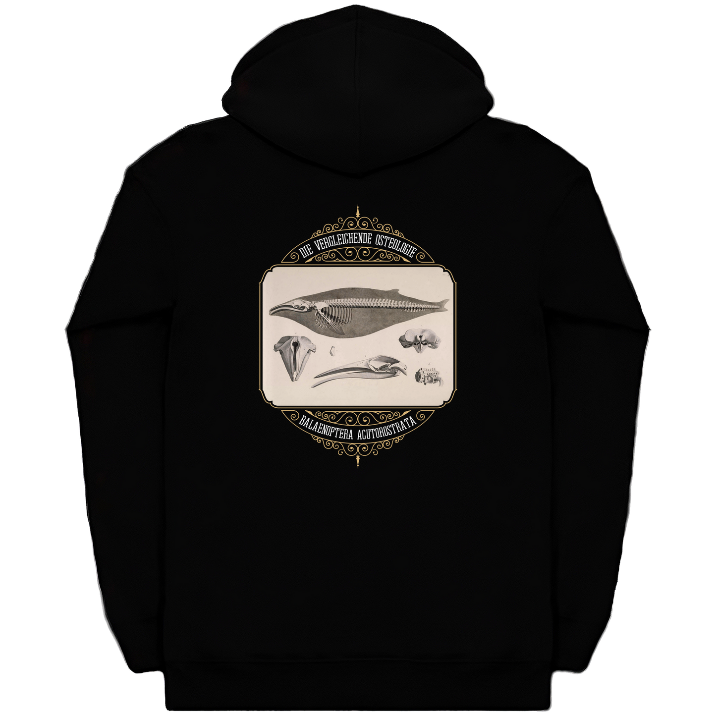 Common Minke Whale Osteology Heavyweight Zip Hoodie