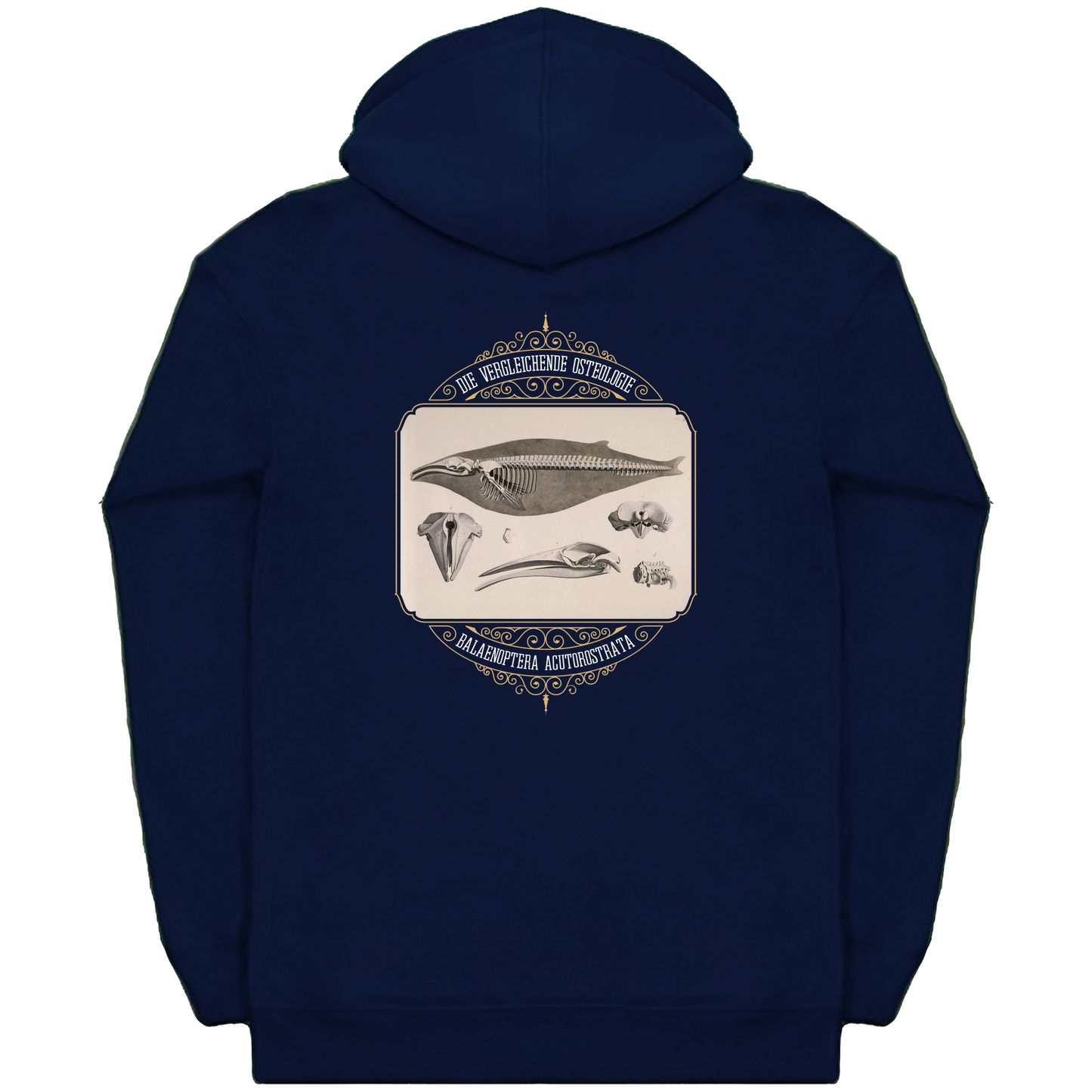 Common Minke Whale Osteology Heavyweight Zip Hoodie