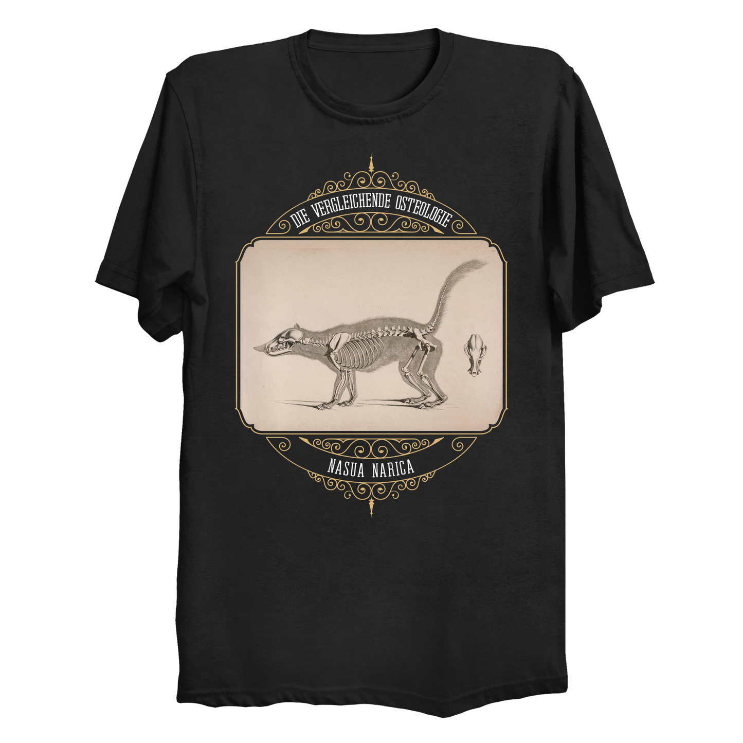 White Nosed Coati Anatomical Illustration Big & Tall T-Shirt (3XL-6XL)