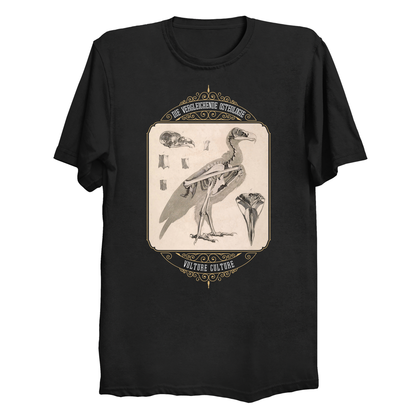 Vulture Culture Bird Skeleton Vintage Illustration Big & Tall T-Shirt (3XL-6XL)