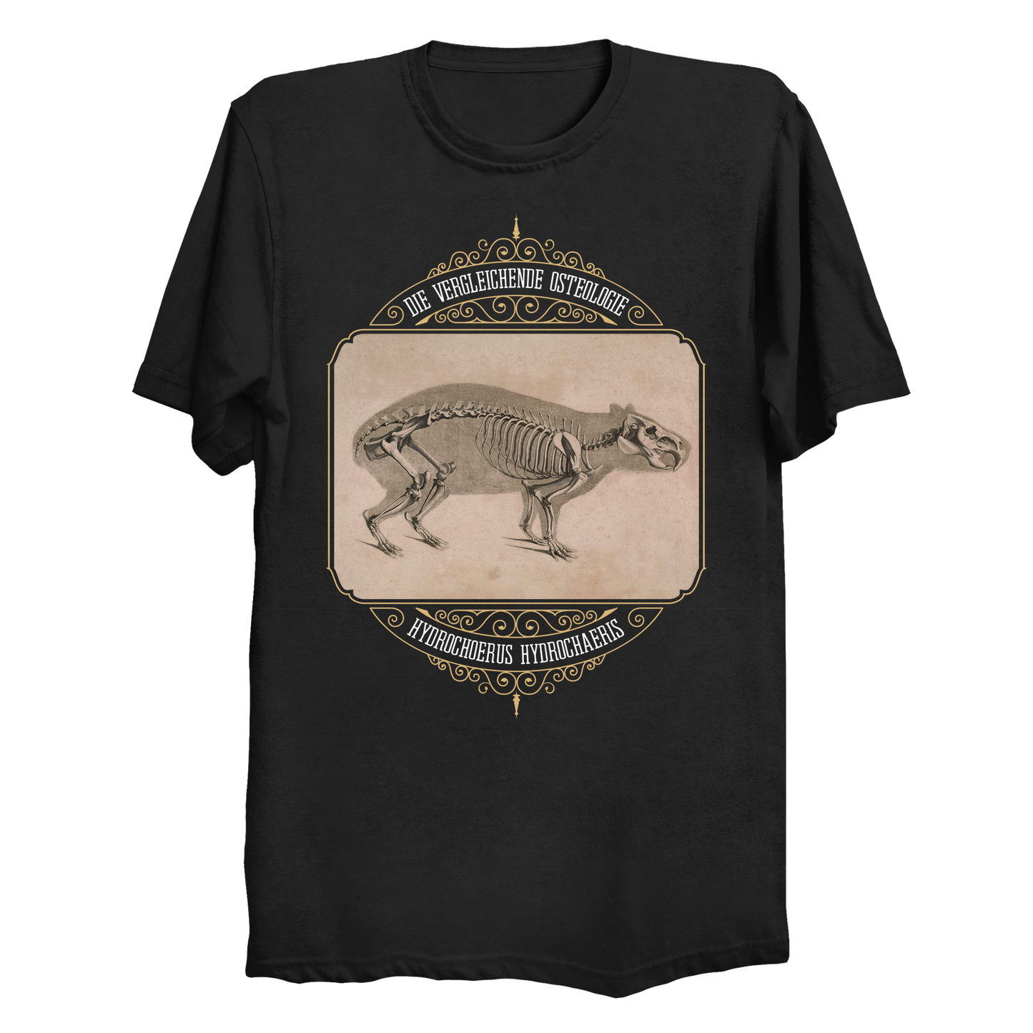 Capybara Anatomy Osteology Vintage Illustration Big & Tall T-Shirt (3XL-6XL)