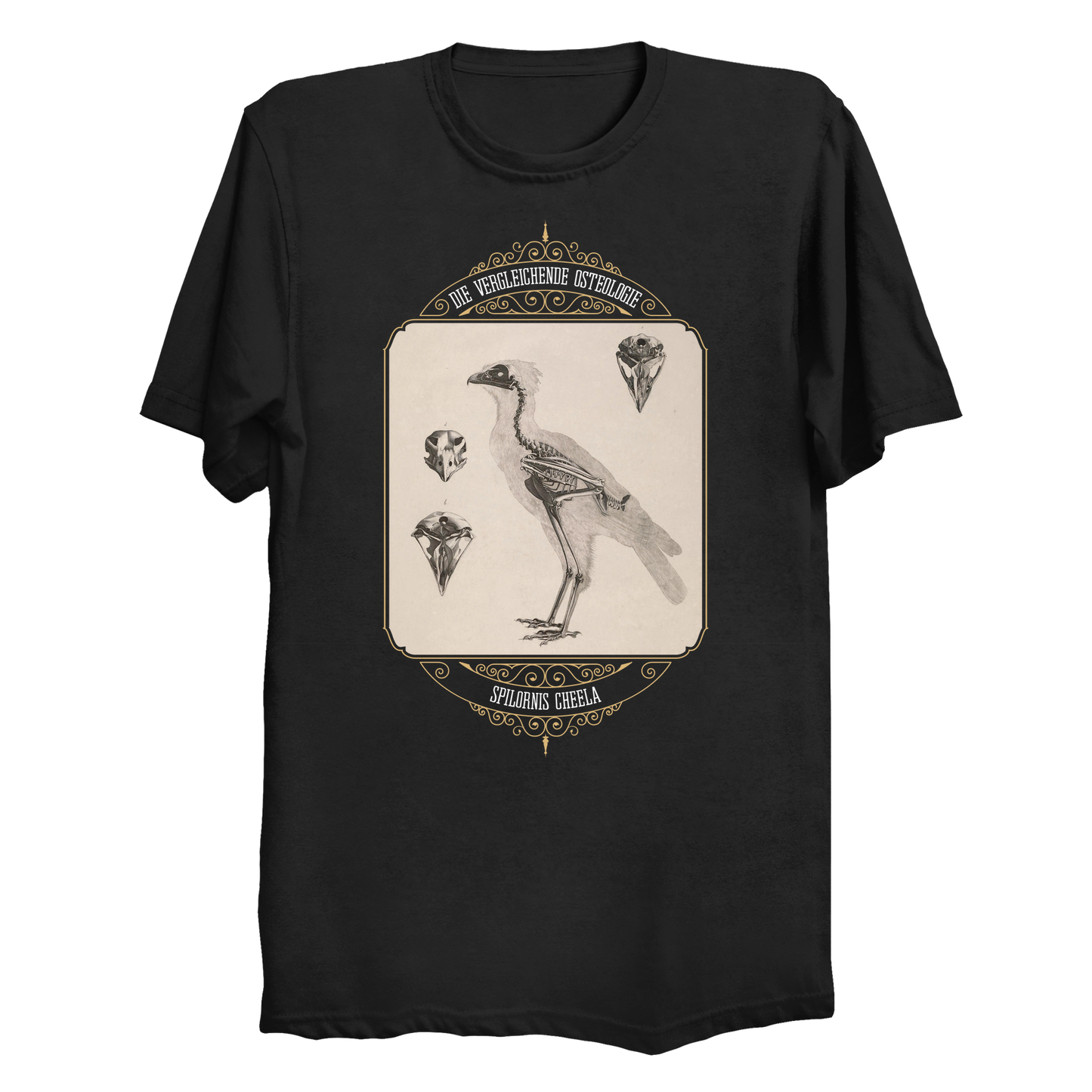 Crested Serpent Eagle Osteology Vintage Illustration Big & Tall T-Shirt (3XL-6XL)