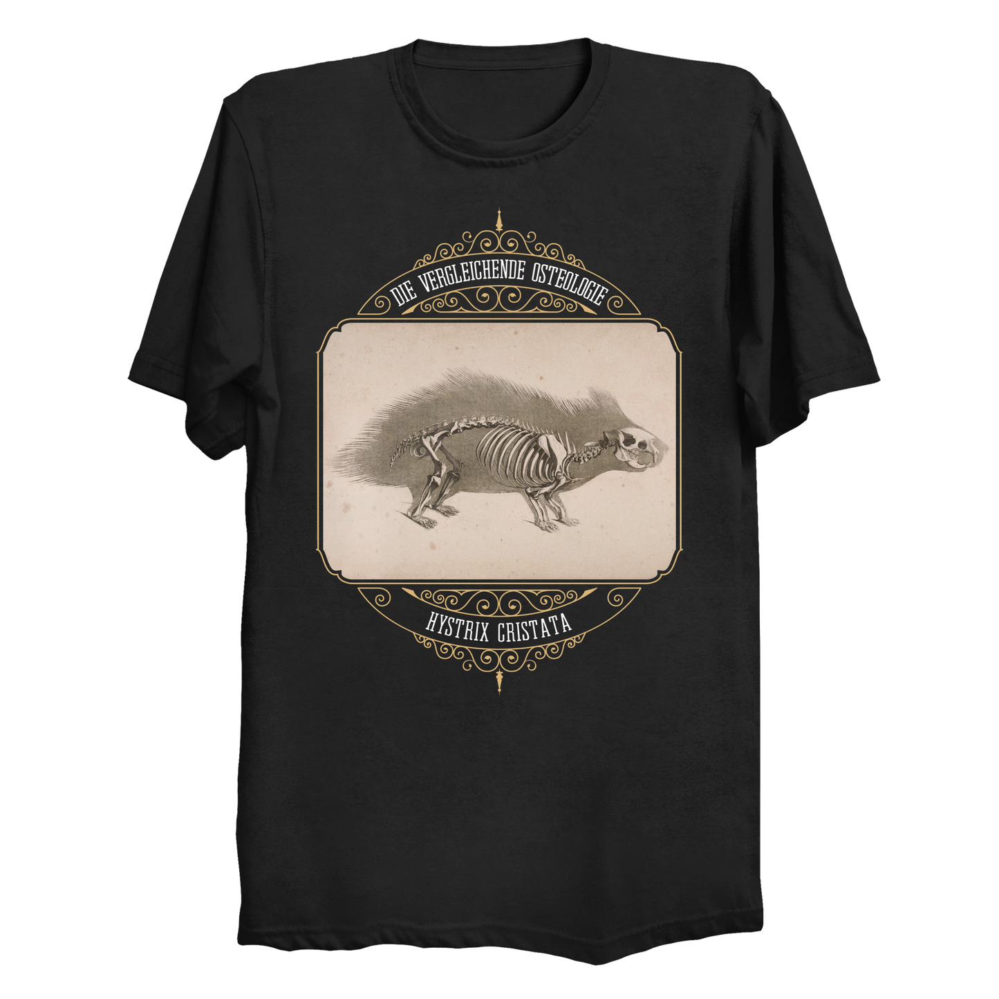 Crested Porcupine Skeletal Anatomy Big & Tall T-Shirt (3XL-6XL)