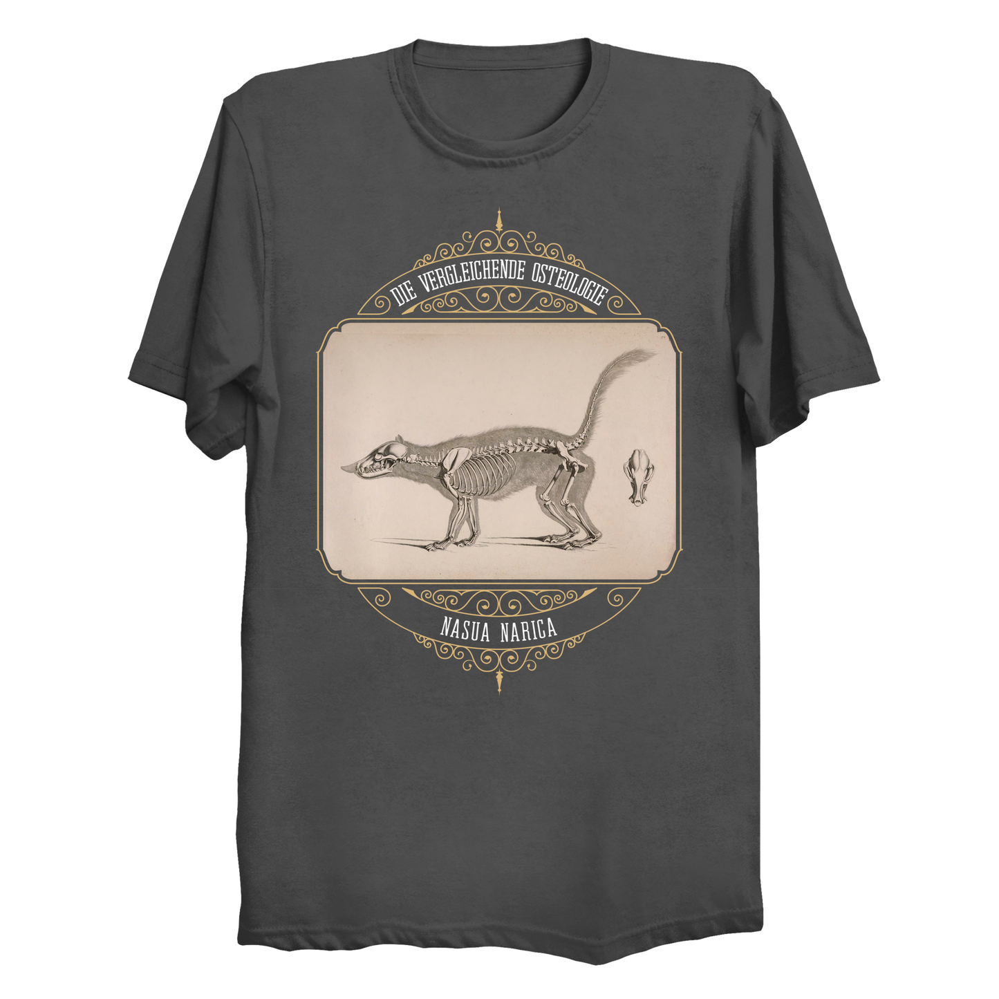 White Nosed Coati Anatomical Illustration Big & Tall T-Shirt (3XL-6XL)