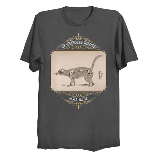 White Nosed Coati Anatomical Illustration Big & Tall T-Shirt (3XL-6XL)