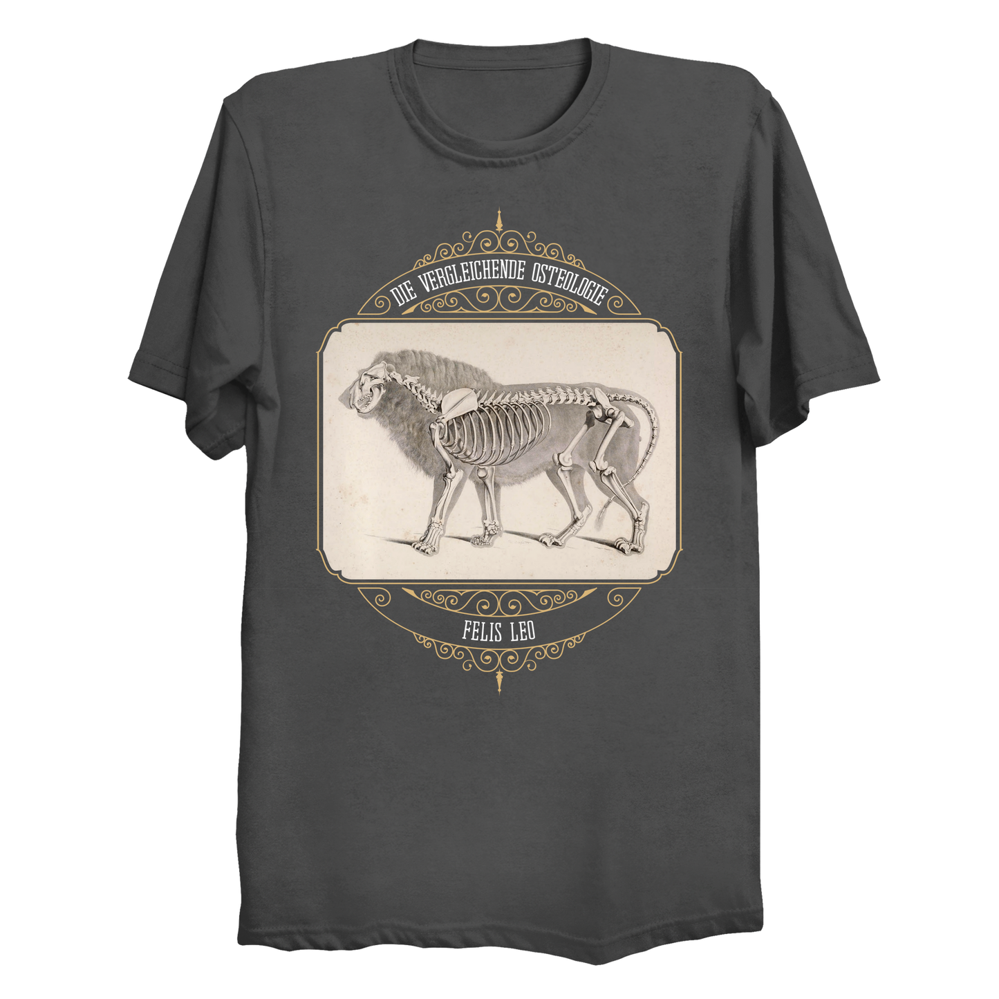 African Lion Animal Anatomy Big & Tall T-Shirt (3XL-6XL)