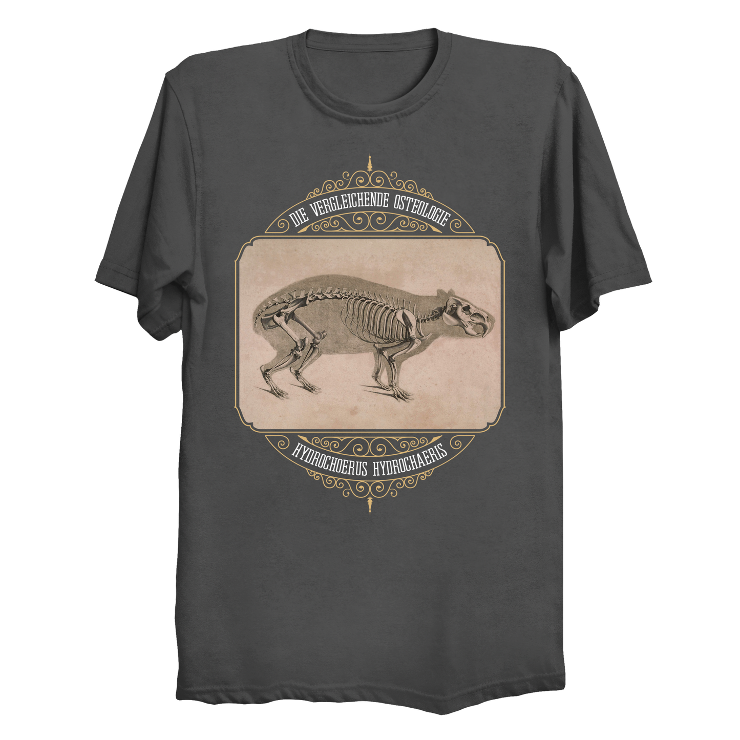 Capybara Anatomy Osteology Vintage Illustration Big & Tall T-Shirt (3XL-6XL)