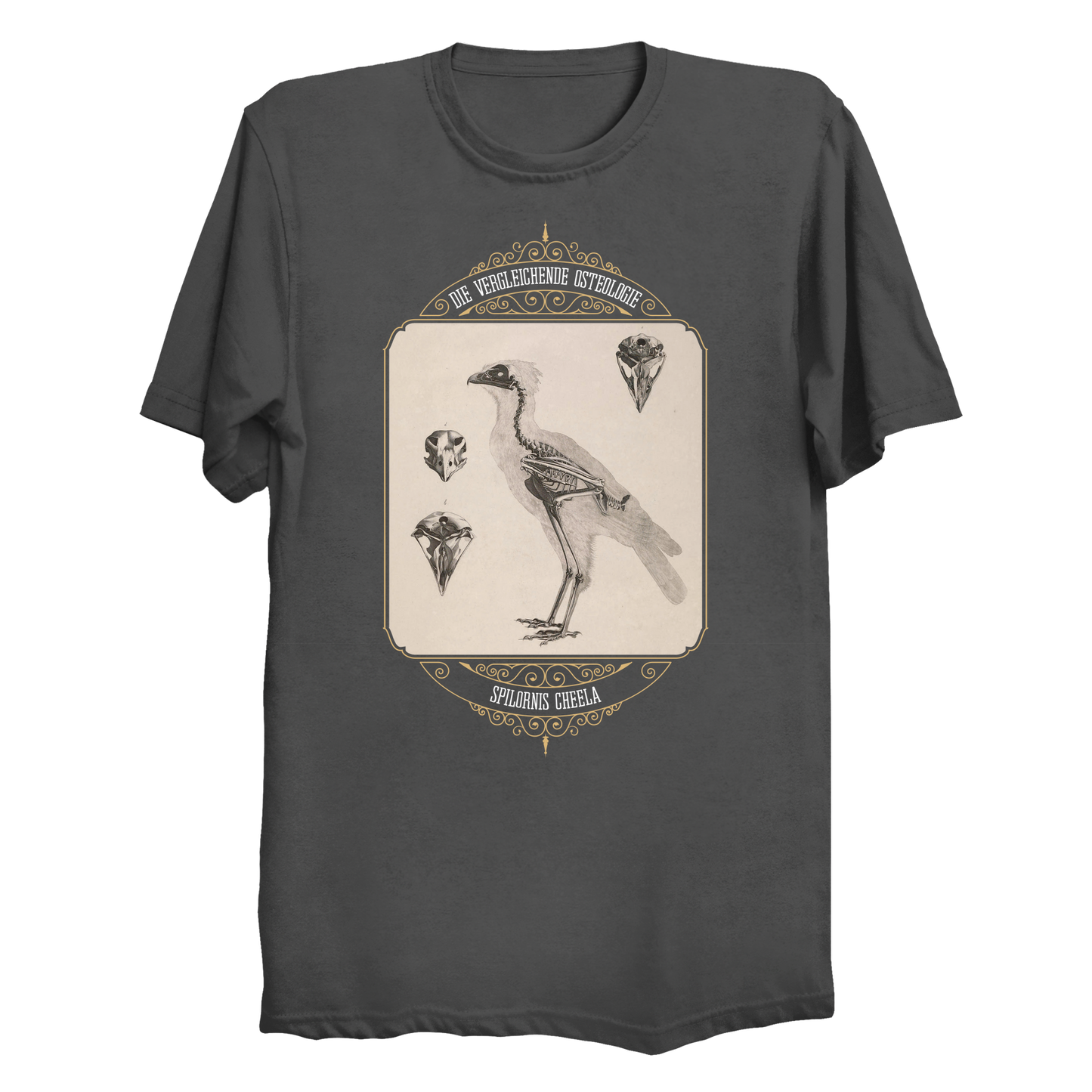 Crested Serpent Eagle Osteology Vintage Illustration Big & Tall T-Shirt (3XL-6XL)