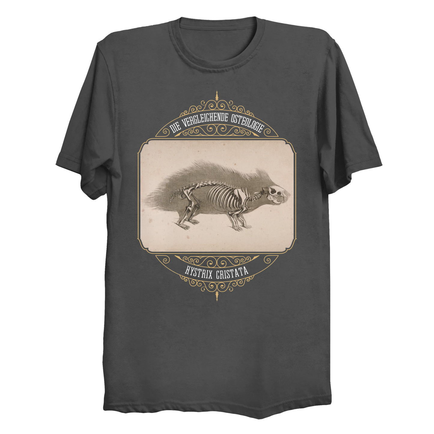 Crested Porcupine Skeletal Anatomy Big & Tall T-Shirt (3XL-6XL)