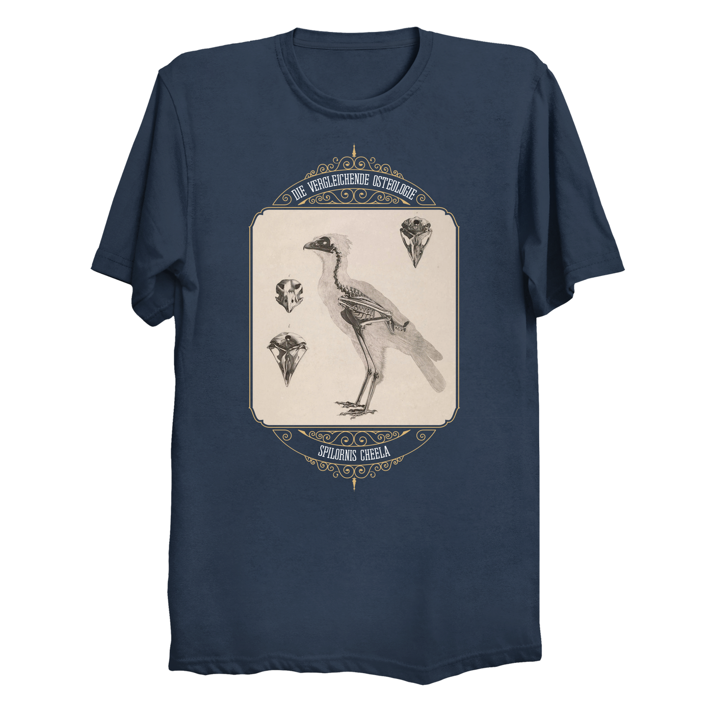 Crested Serpent Eagle Osteology Vintage Illustration Big & Tall T-Shirt (3XL-6XL)