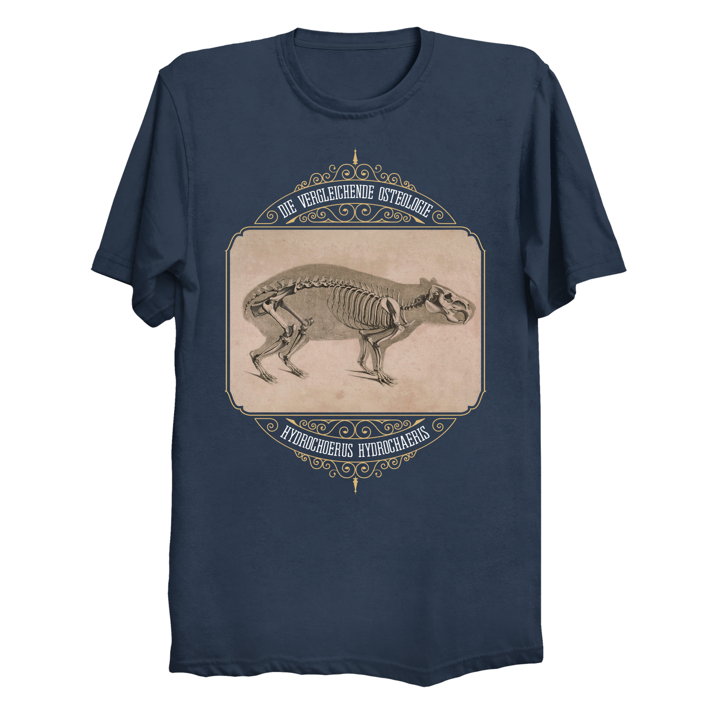 Capybara Anatomy Osteology Vintage Illustration Big & Tall T-Shirt (3XL-6XL)