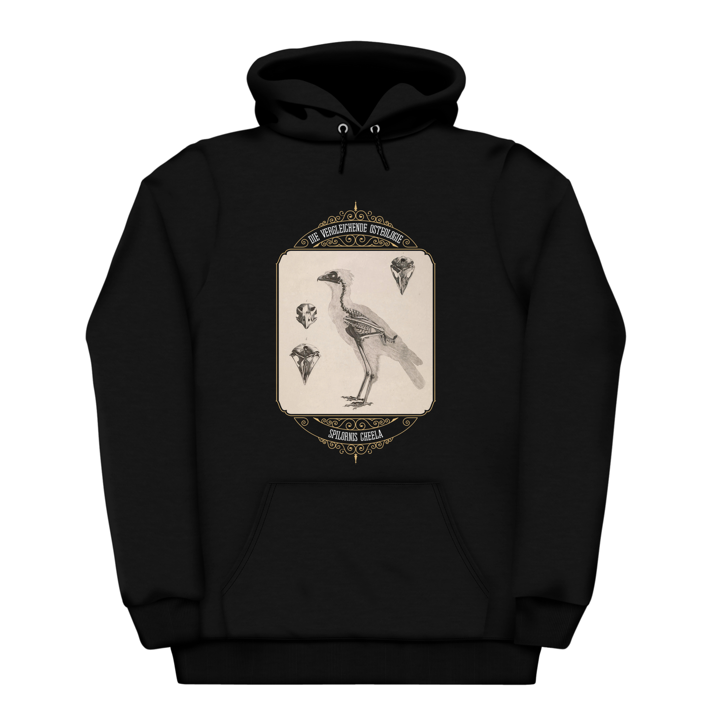 Crested Serpent Eagle Osteology Vintage Illustration Heavyweight Hoodie