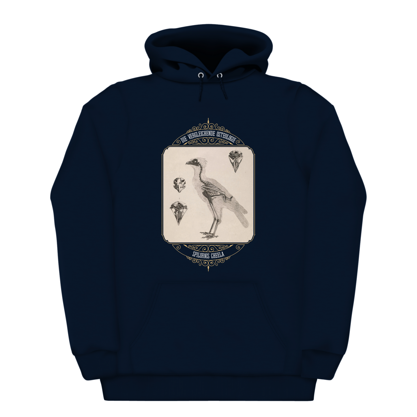 Crested Serpent Eagle Osteology Vintage Illustration Heavyweight Hoodie