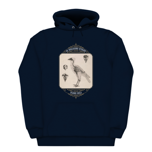 Crested Serpent Eagle Osteology Vintage Illustration Heavyweight Hoodie