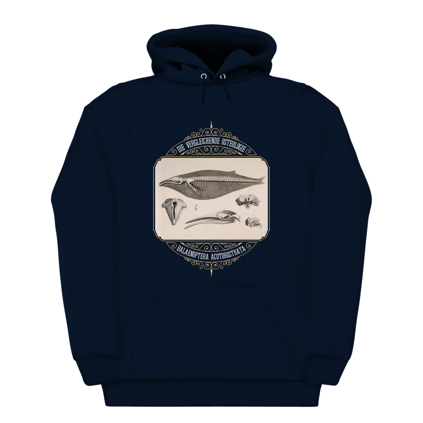 Common Minke Whale Osteology Heavyweight Hoodie