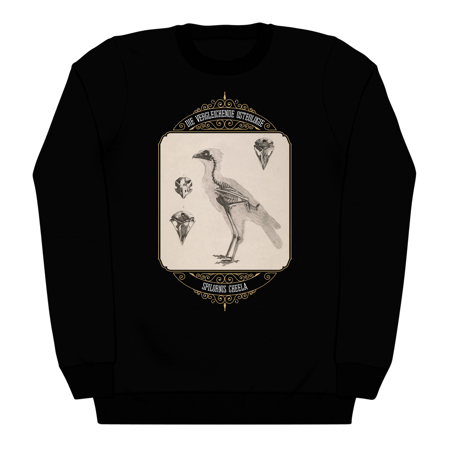 Crested Serpent Eagle Osteology Vintage Illustration Heavyweight Sweatshirt