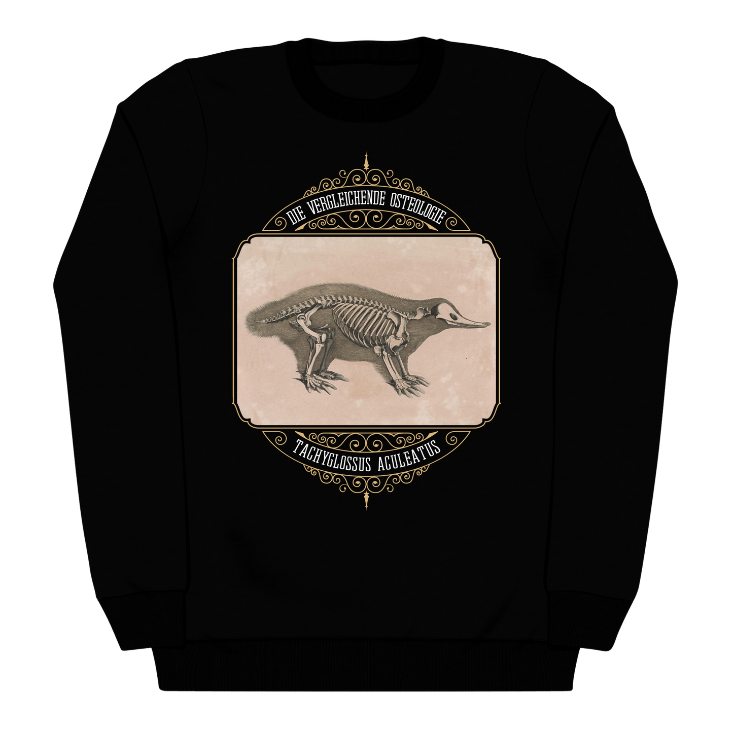 Echidna Anatomy Osteology Heavyweight Sweatshirt