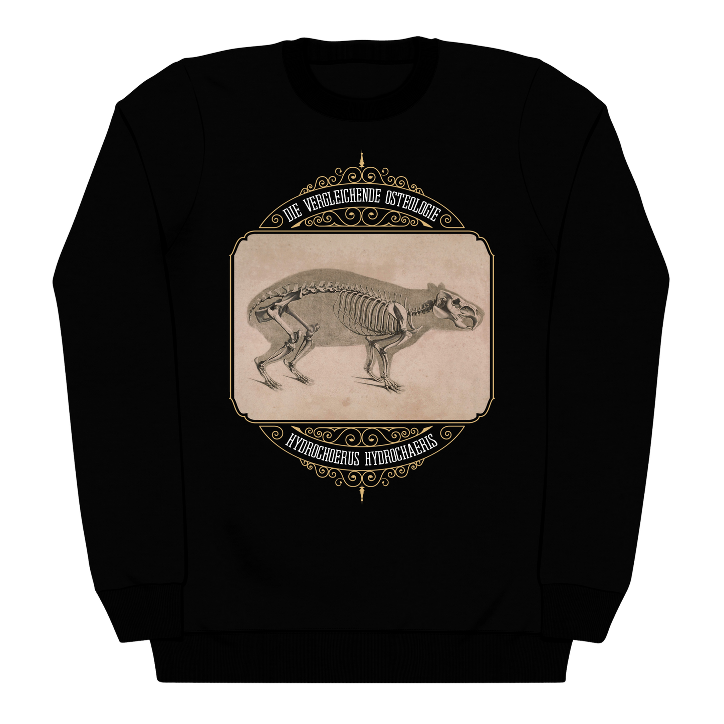 Capybara Anatomy Osteology Vintage Illustration Heavyweight Sweatshirt