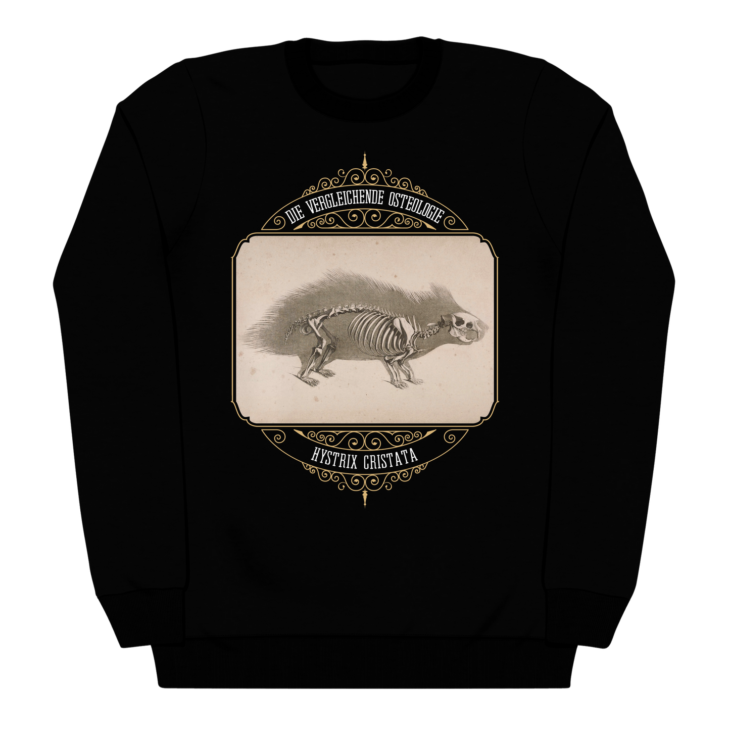 Crested Porcupine Skeletal Anatomy Heavyweight Sweatshirt