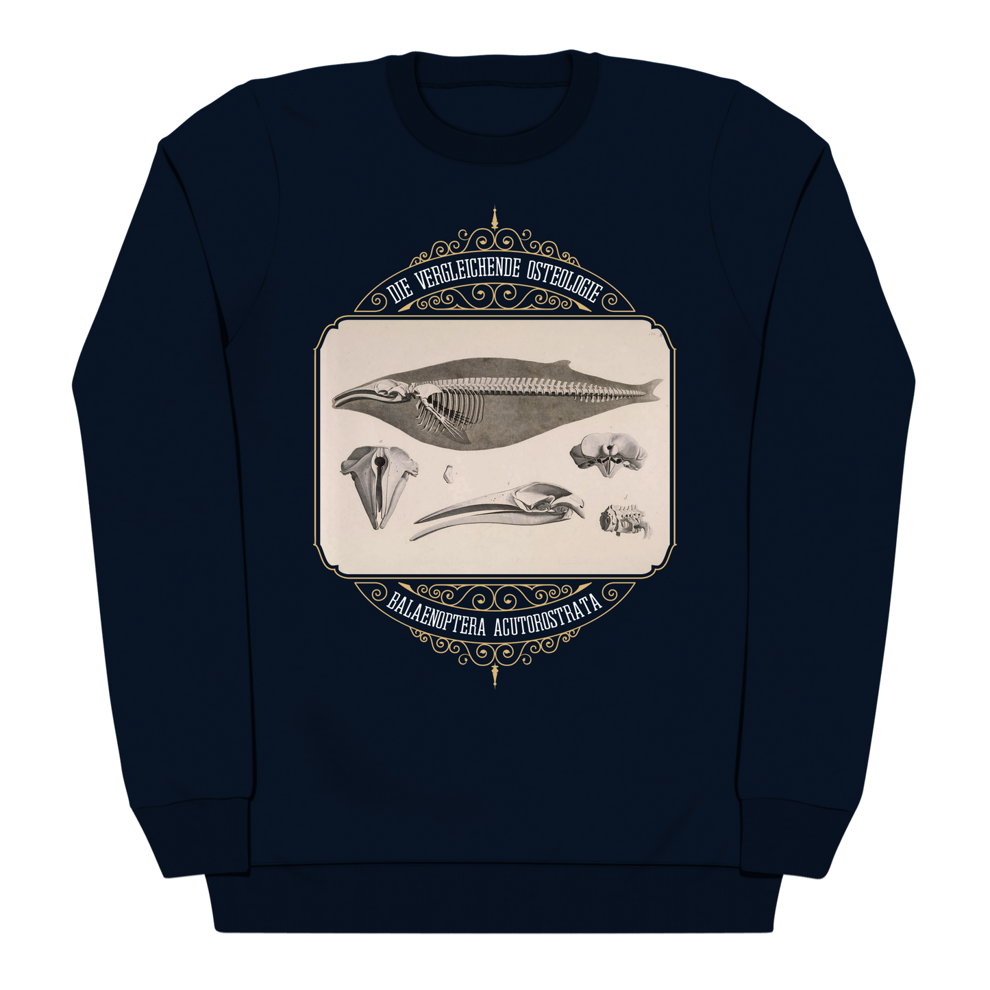 Common Minke Whale Osteology Heavyweight Sweatshirt