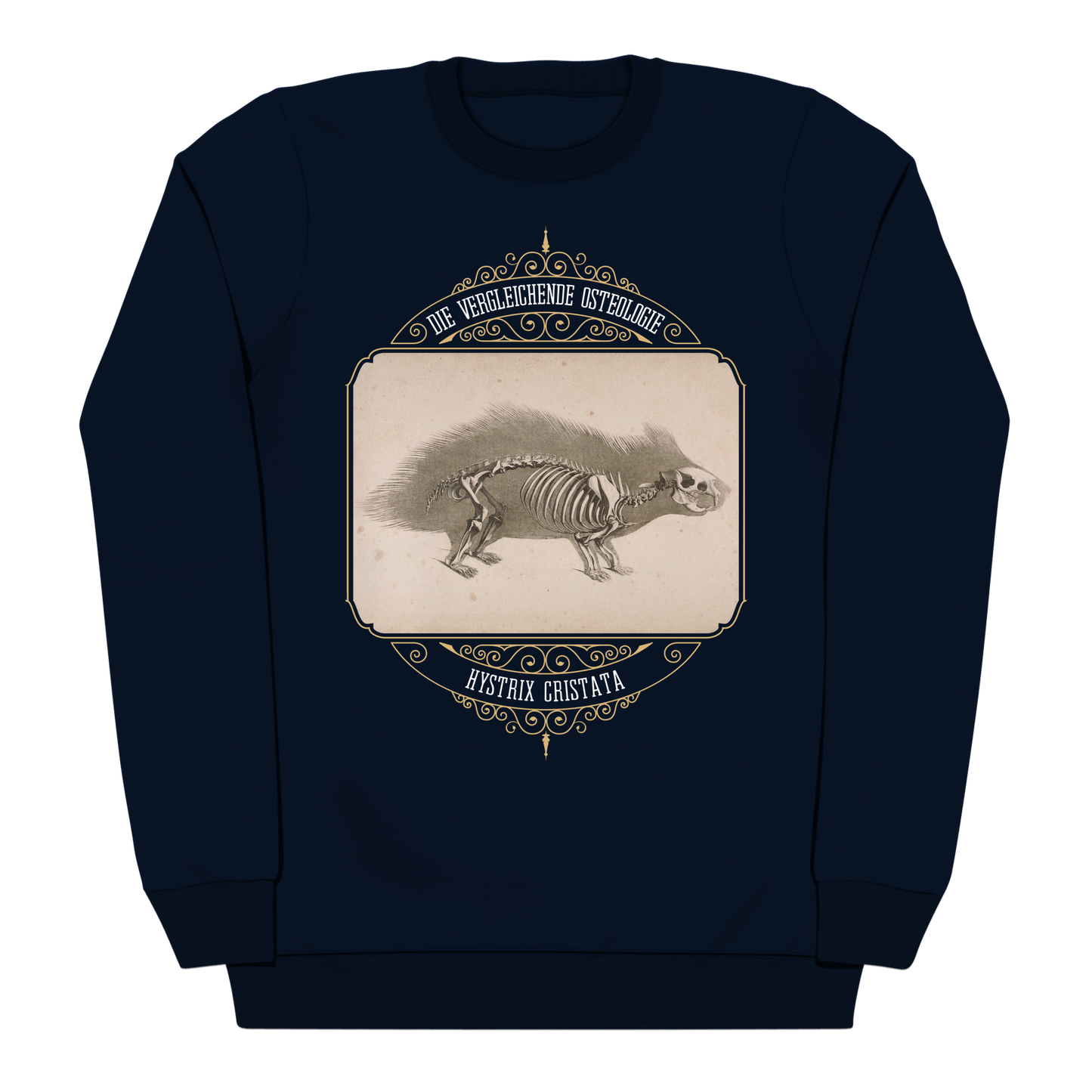 Crested Porcupine Skeletal Anatomy Heavyweight Sweatshirt