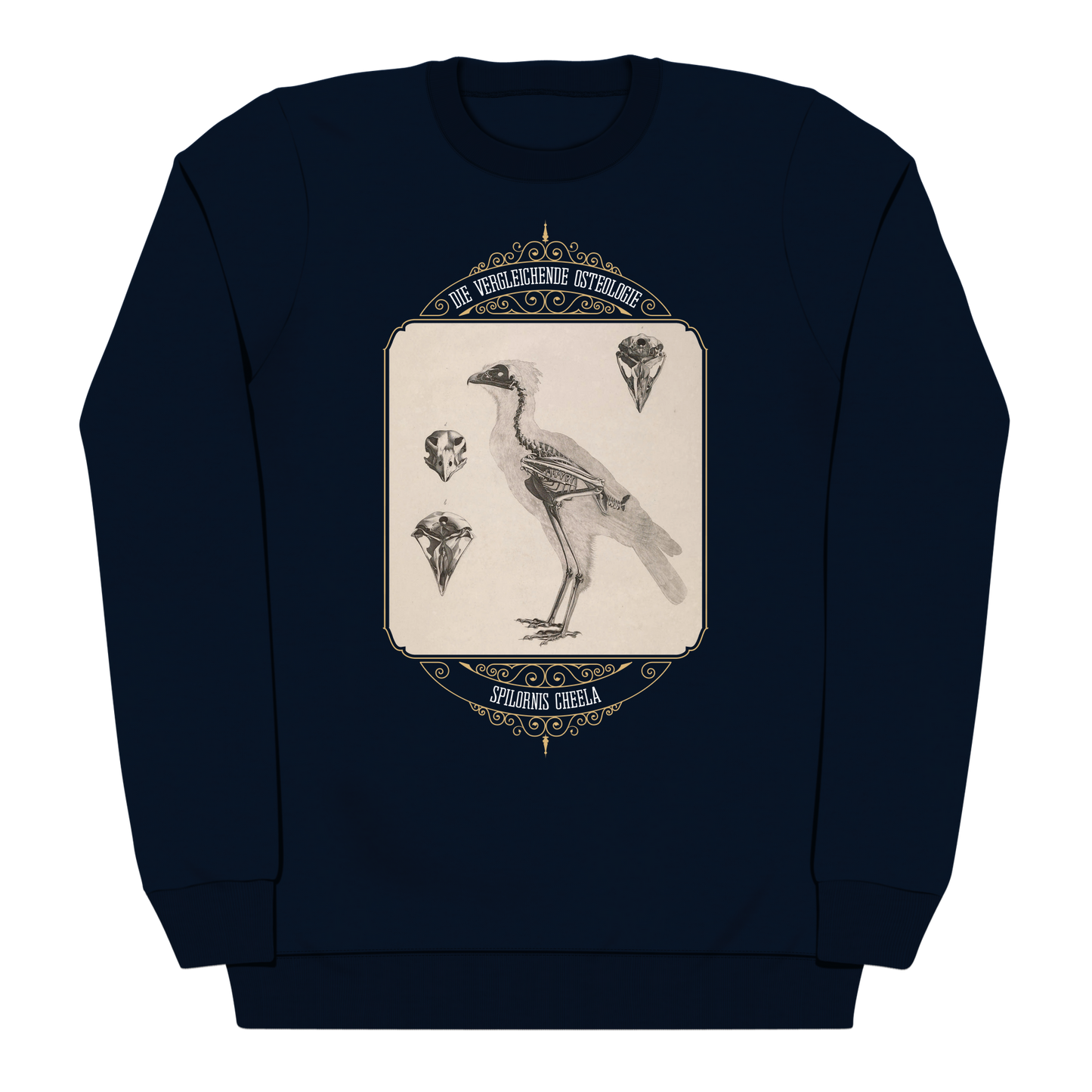 Crested Serpent Eagle Osteology Vintage Illustration Heavyweight Sweatshirt