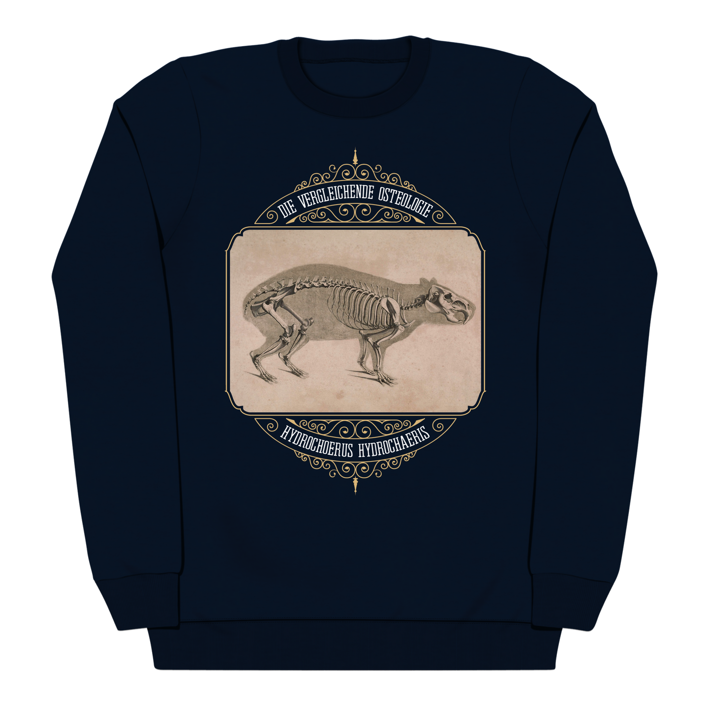 Capybara Anatomy Osteology Vintage Illustration Heavyweight Sweatshirt