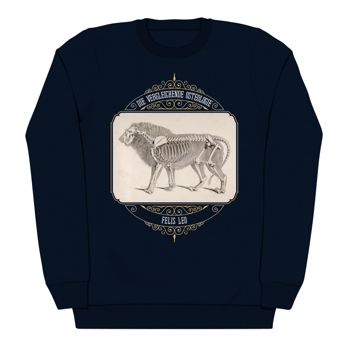 African Lion Animal Anatomy Heavyweight Sweatshirt