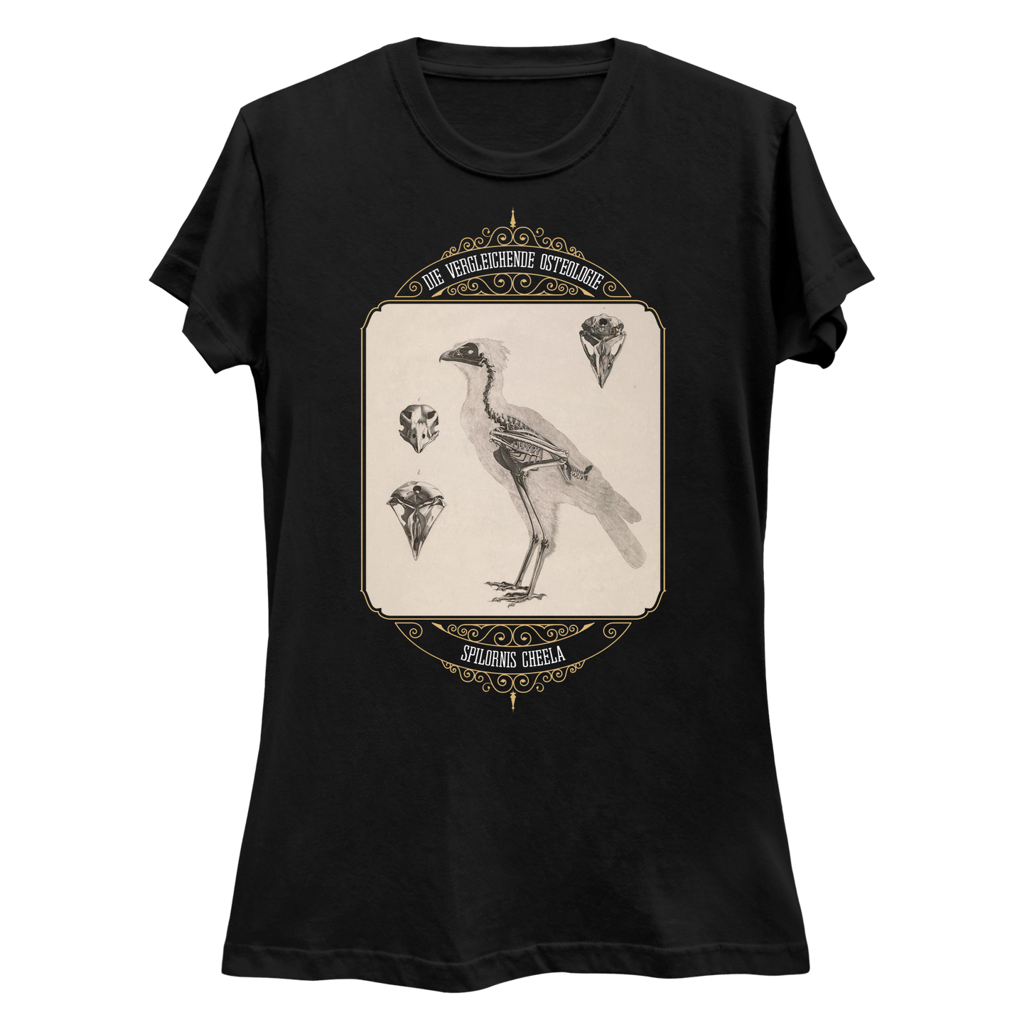 Crested Serpent Eagle Osteology Vintage Illustration Women's Slim Fit T-Shirt