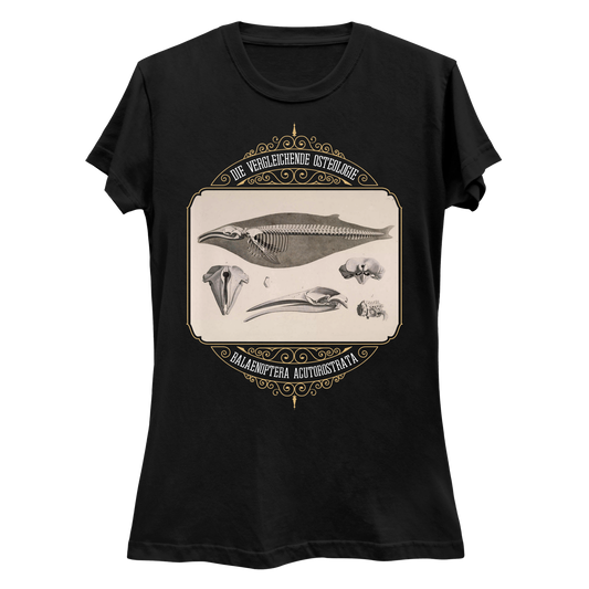 Common Minke Whale Osteology Women's Slim Fit T-Shirt