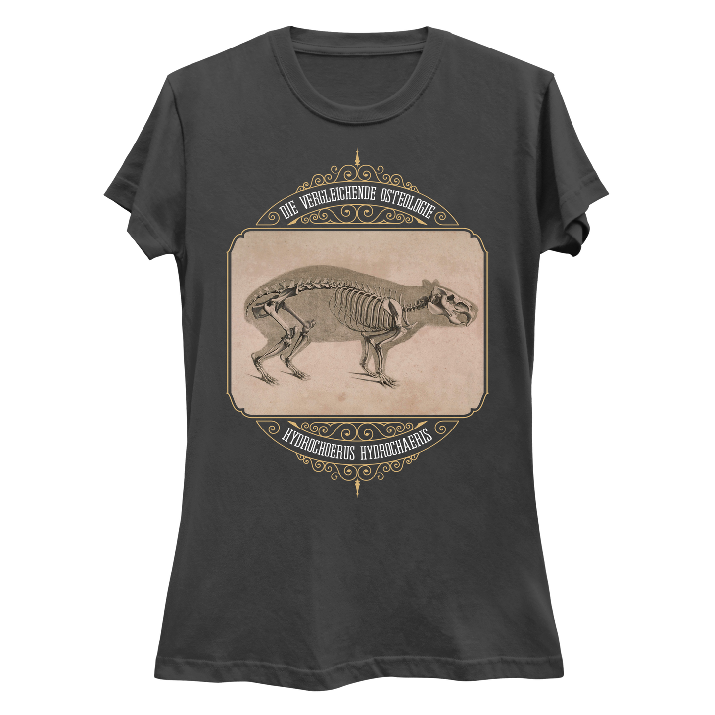 Capybara Anatomy Osteology Vintage Illustration Women's Slim Fit T-Shirt