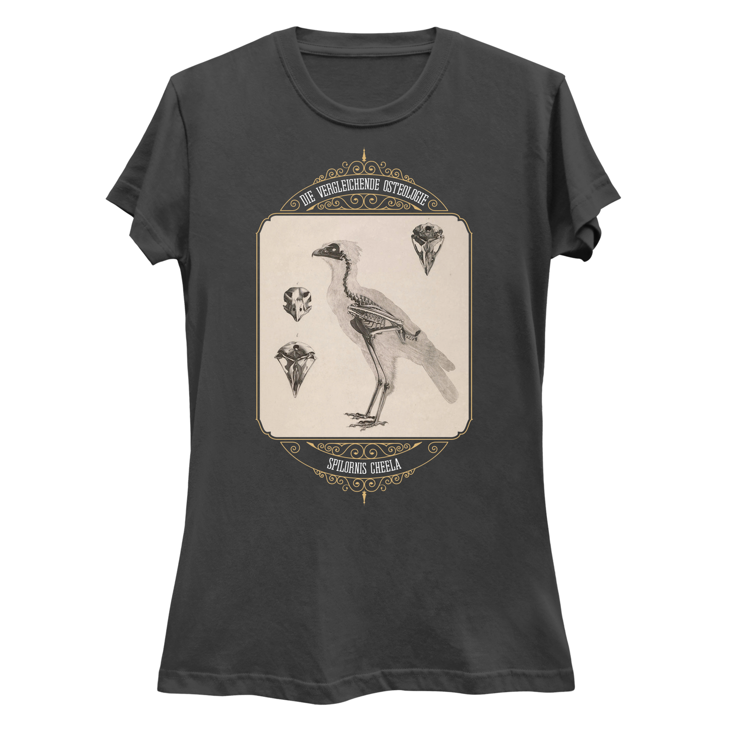 Crested Serpent Eagle Osteology Vintage Illustration Women's Slim Fit T-Shirt