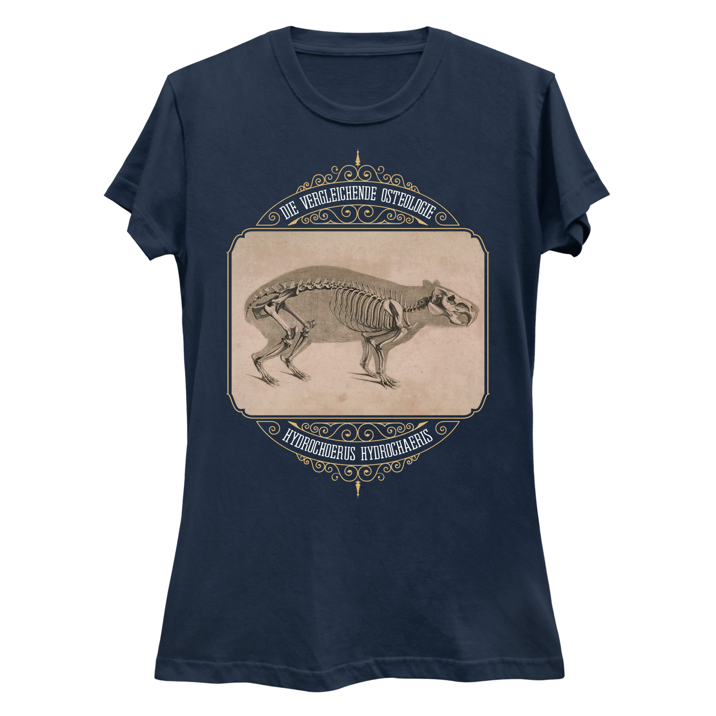 Capybara Anatomy Osteology Vintage Illustration Women's Slim Fit T-Shirt