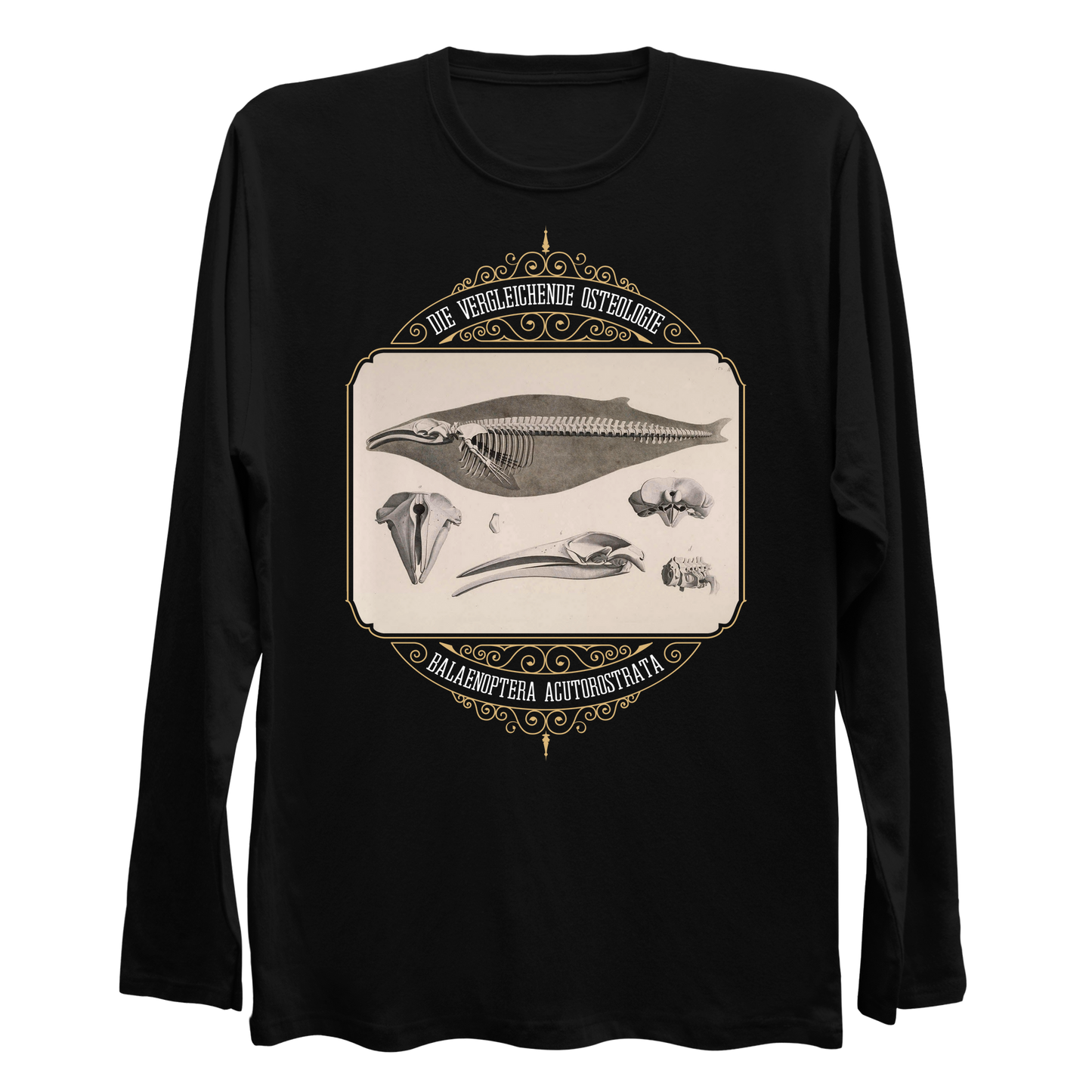 Common Minke Whale Osteology Longsleeve Shirt