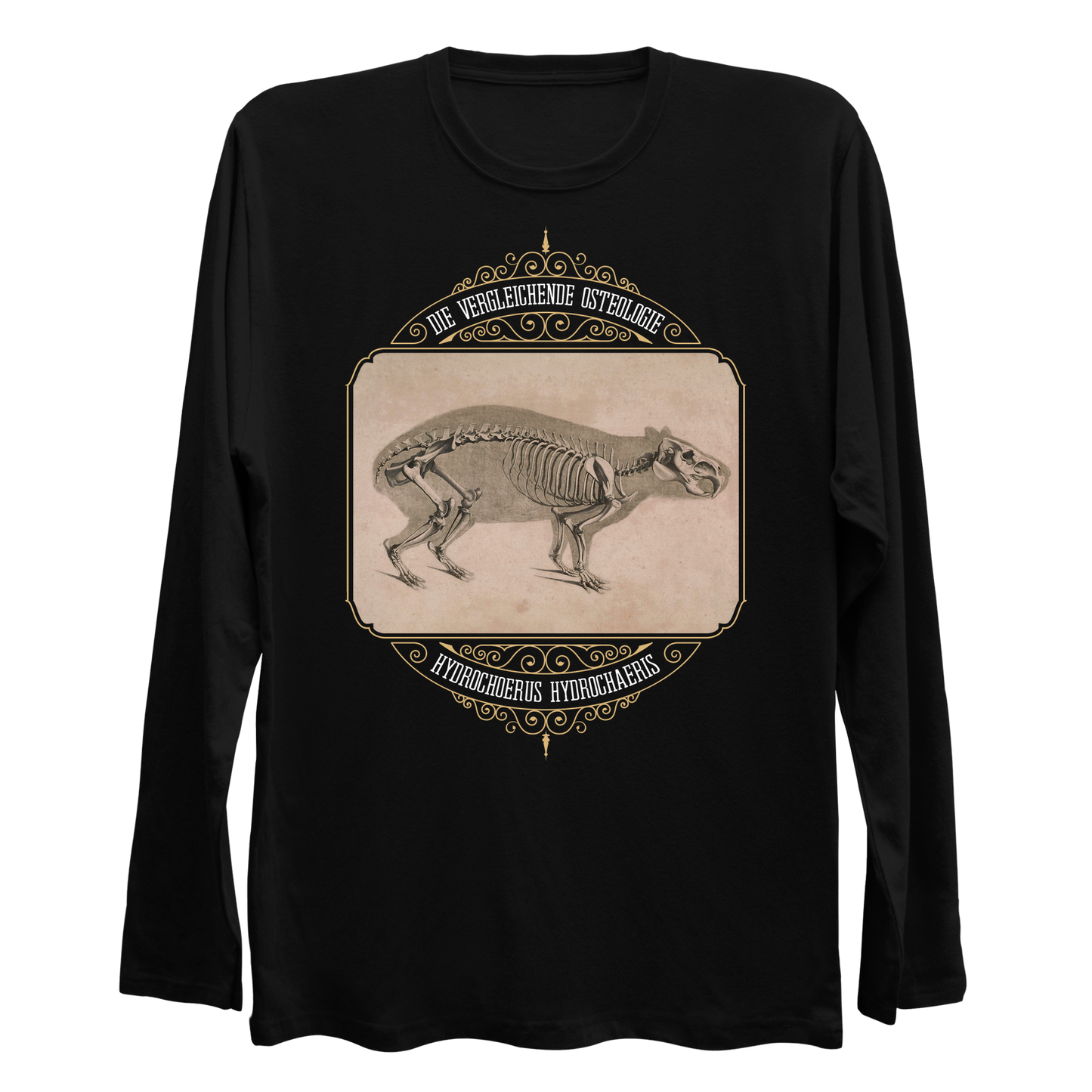 Capybara Anatomy Osteology Vintage Illustration Longsleeve Shirt