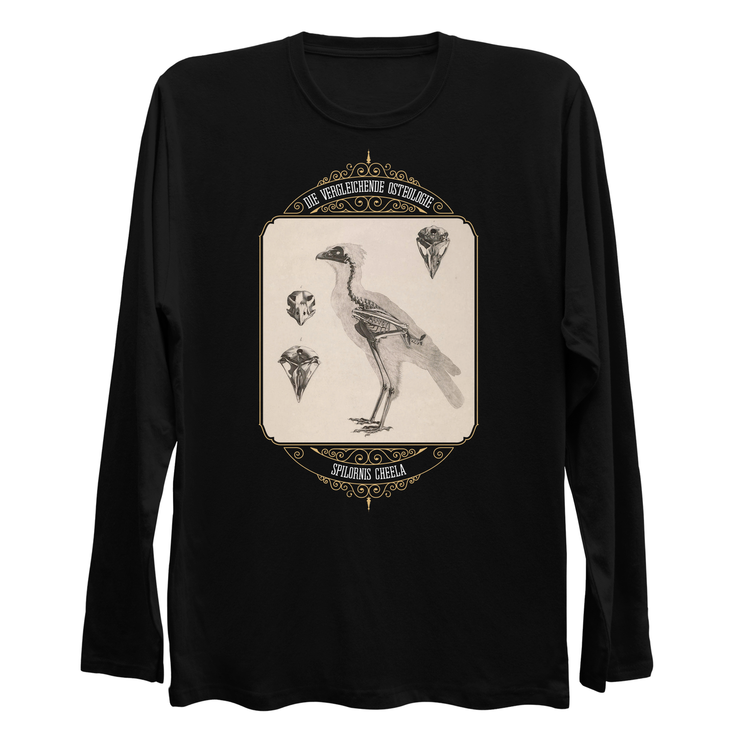 Crested Serpent Eagle Osteology Vintage Illustration Longsleeve Shirt