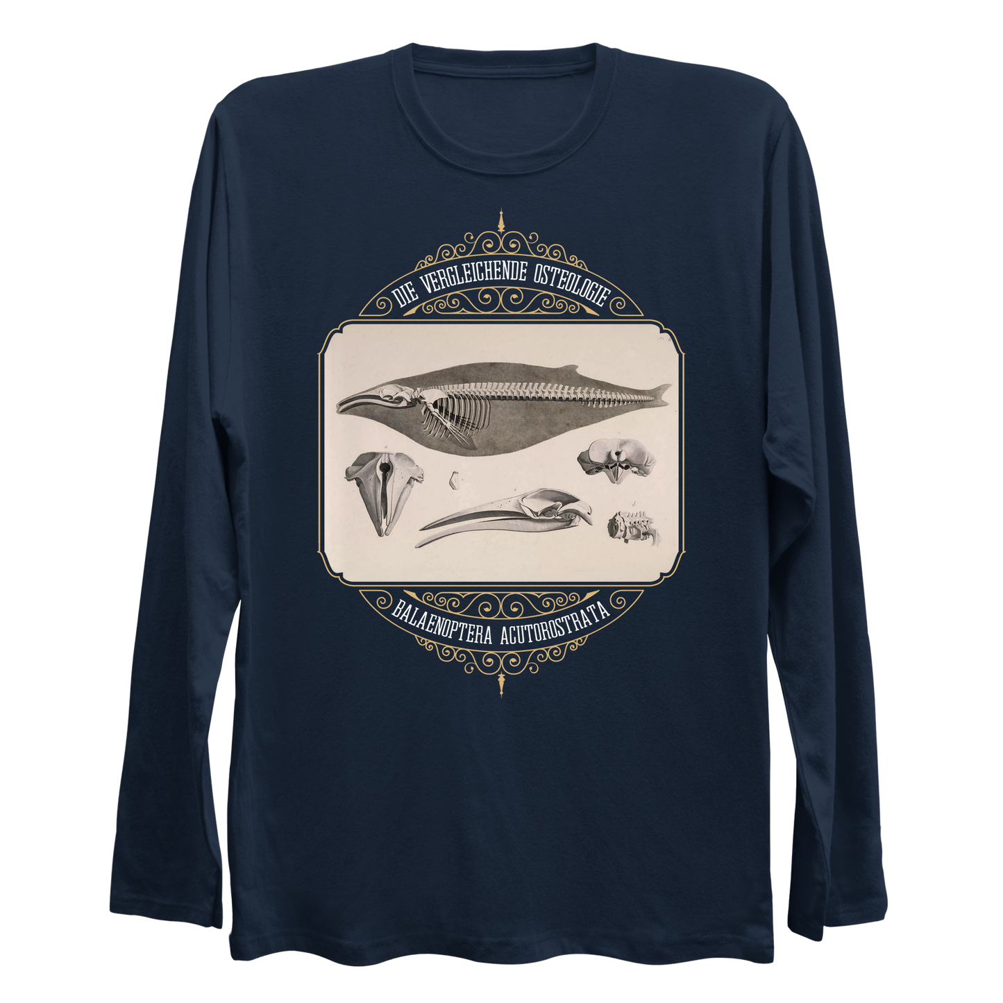 Common Minke Whale Osteology Longsleeve Shirt