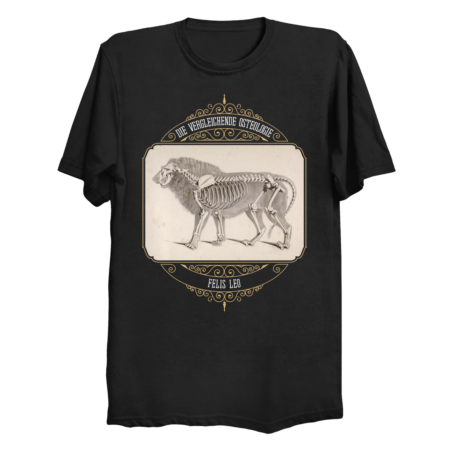 African Lion Animal Anatomy Men's / Unisex T-Shirt