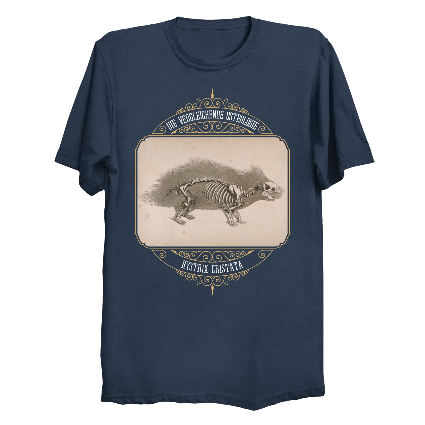 Crested Porcupine Skeletal Anatomy Men's / Unisex T-Shirt