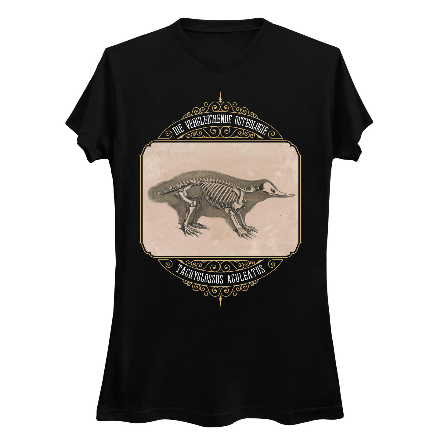 Echidna Anatomy Osteology Women's V-Neck