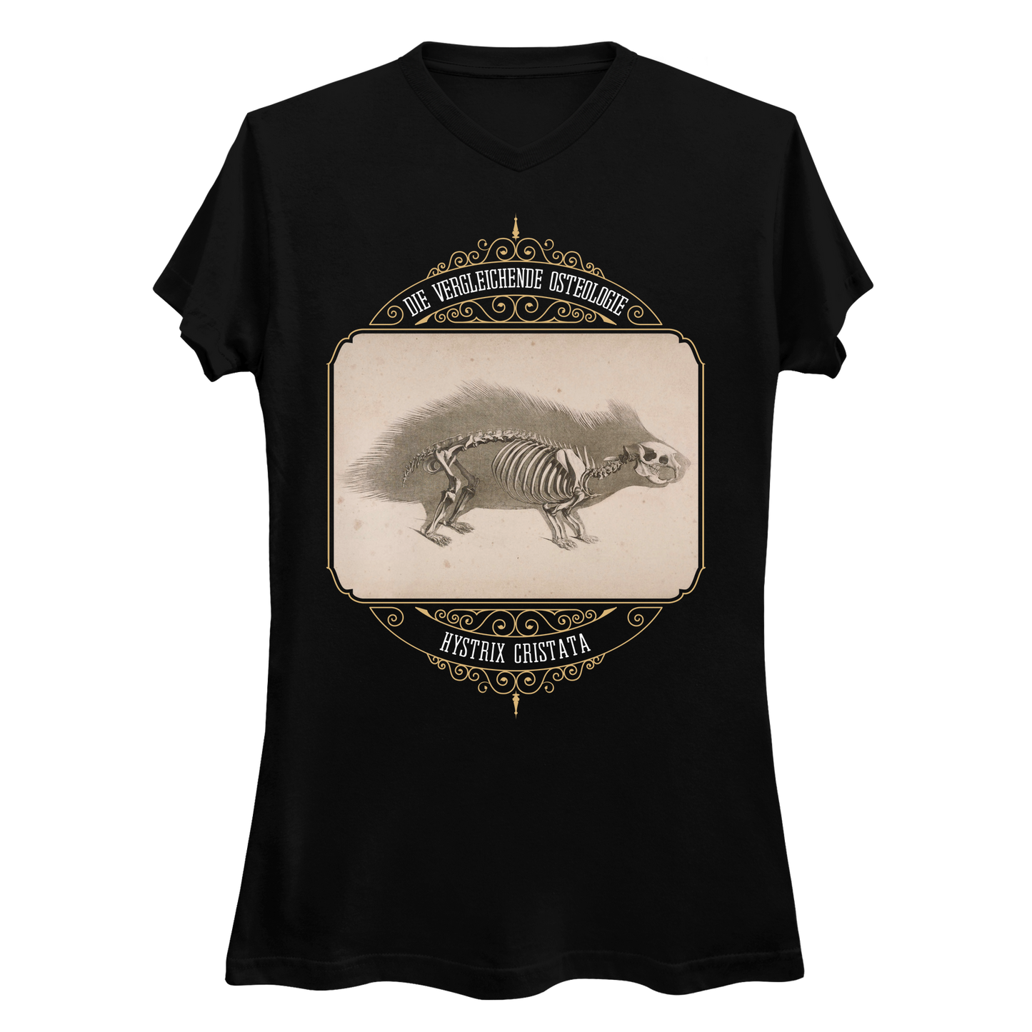 Crested Porcupine Skeletal Anatomy Women's V-Neck