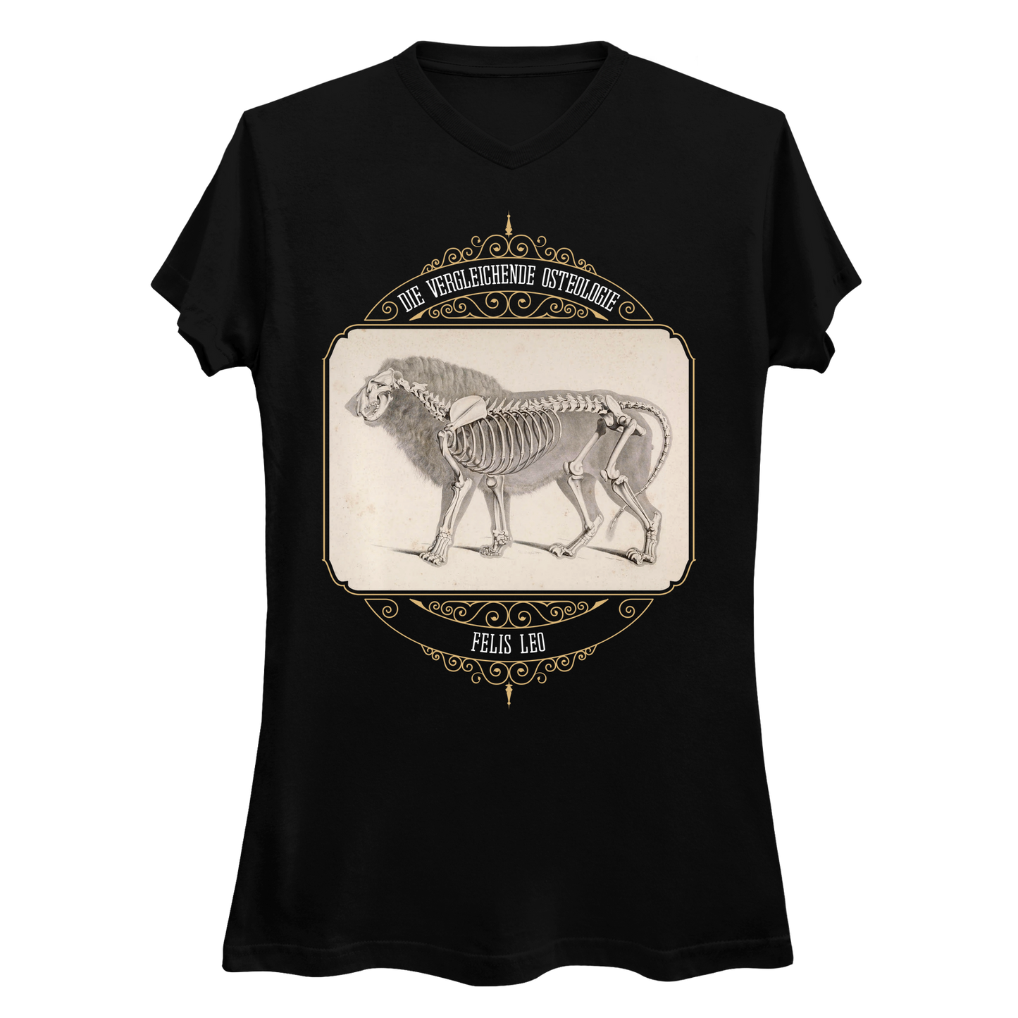 African Lion Animal Anatomy Women's V-Neck