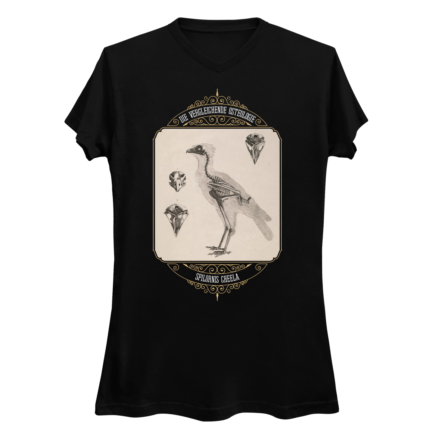 Crested Serpent Eagle Osteology Vintage Illustration Women's V-Neck