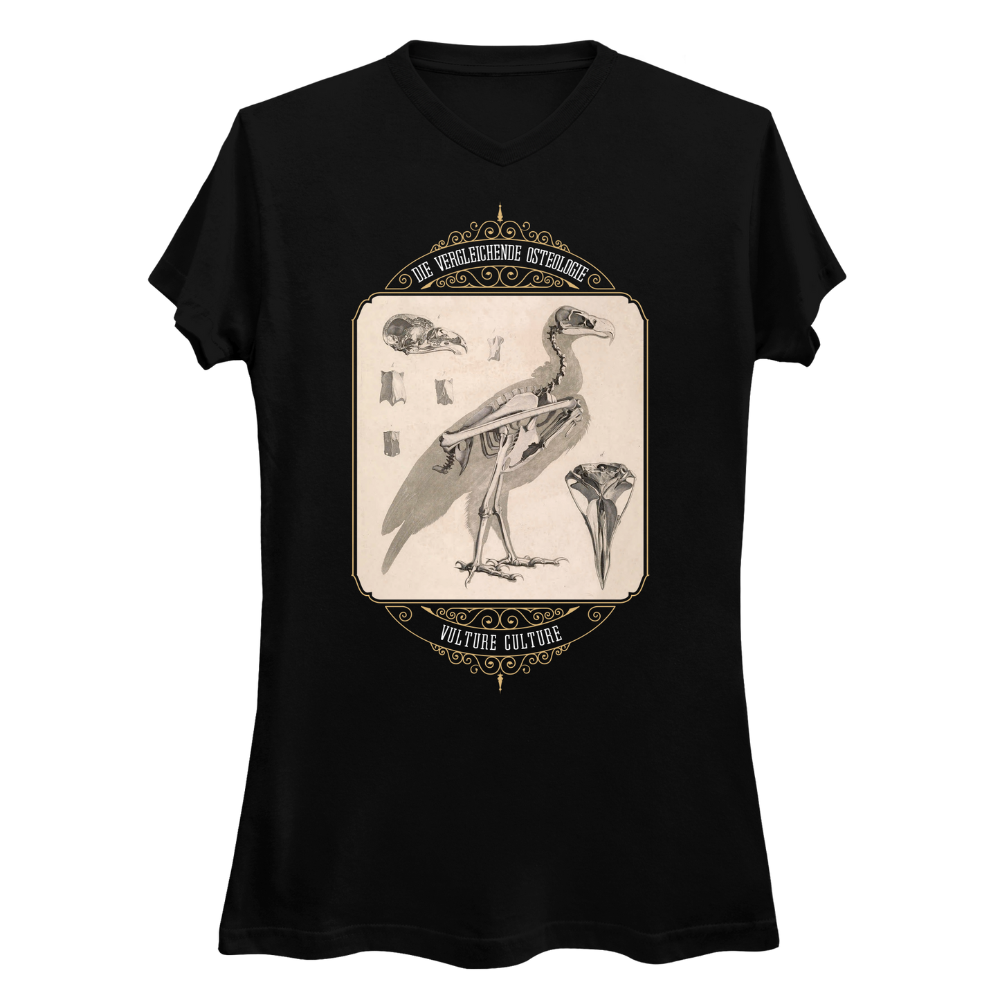 Vulture Culture Bird Skeleton Vintage Illustration Women's V-Neck