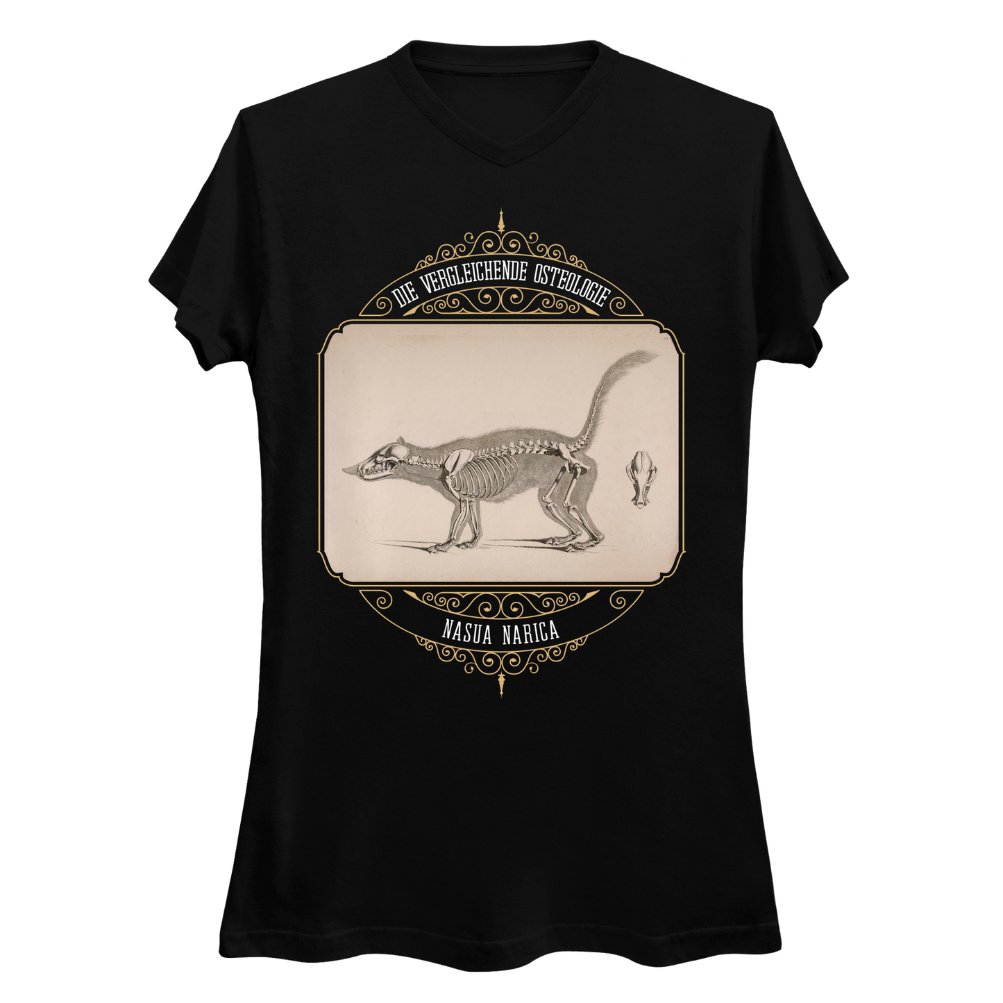 White Nosed Coati Anatomical Illustration Women's V-Neck