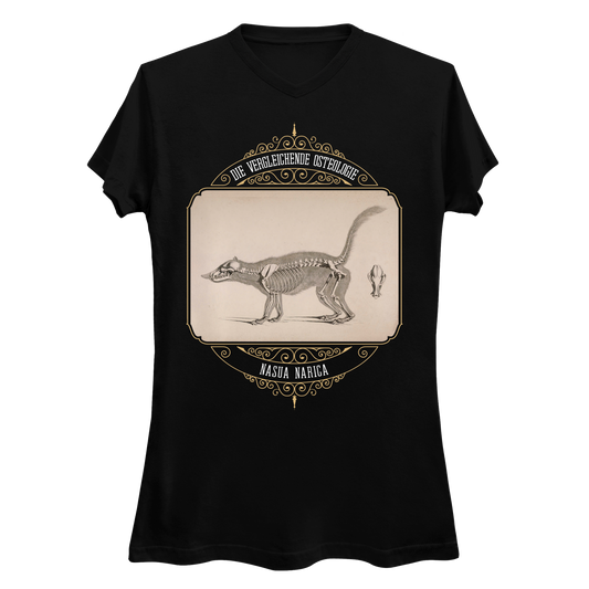 White Nosed Coati Anatomical Illustration Women's V-Neck