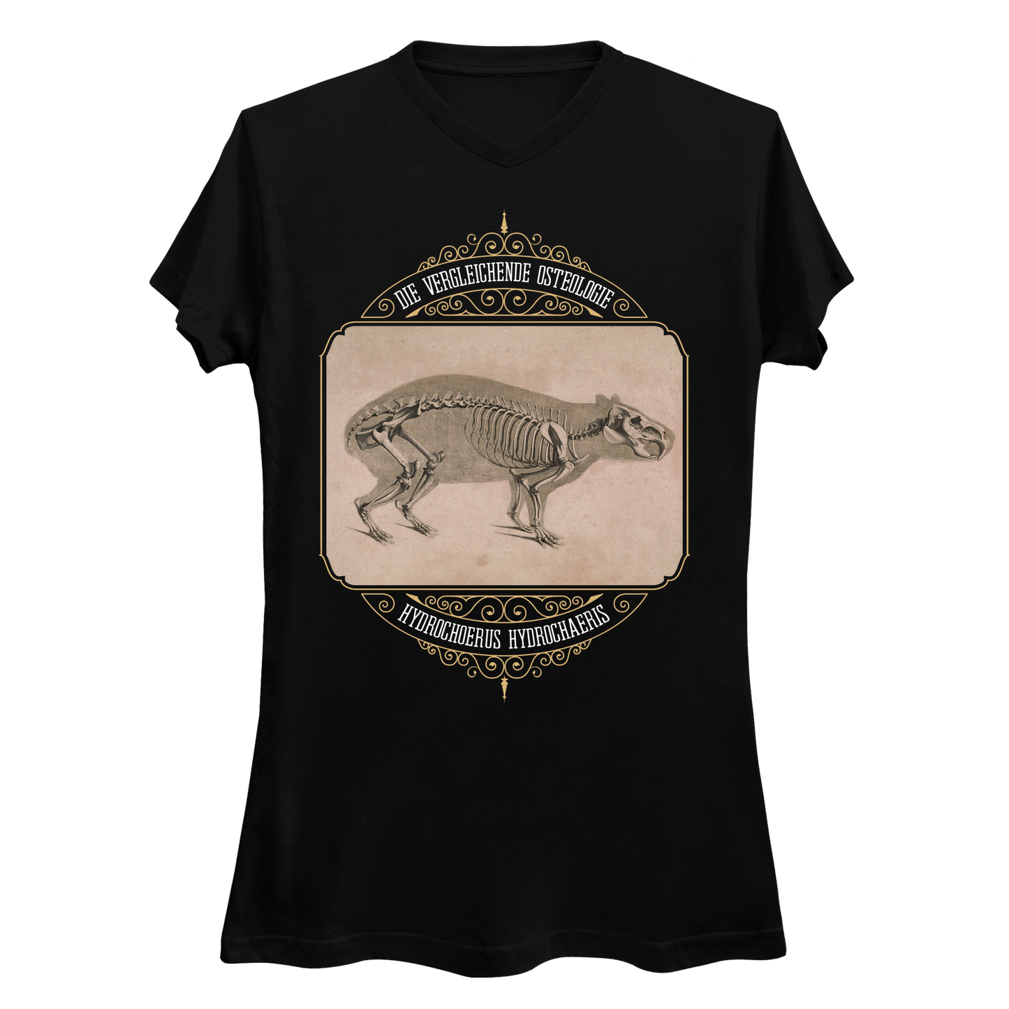 Capybara Anatomy Osteology Vintage Illustration Women's V-Neck