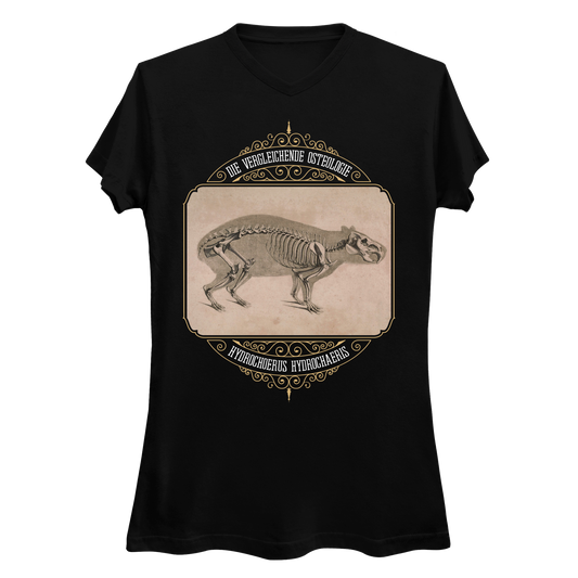 Capybara Anatomy Osteology Vintage Illustration Women's V-Neck