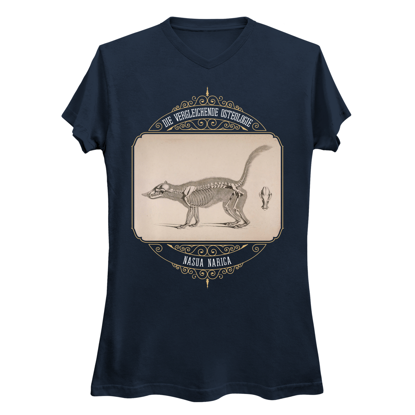 White Nosed Coati Anatomical Illustration Women's V-Neck