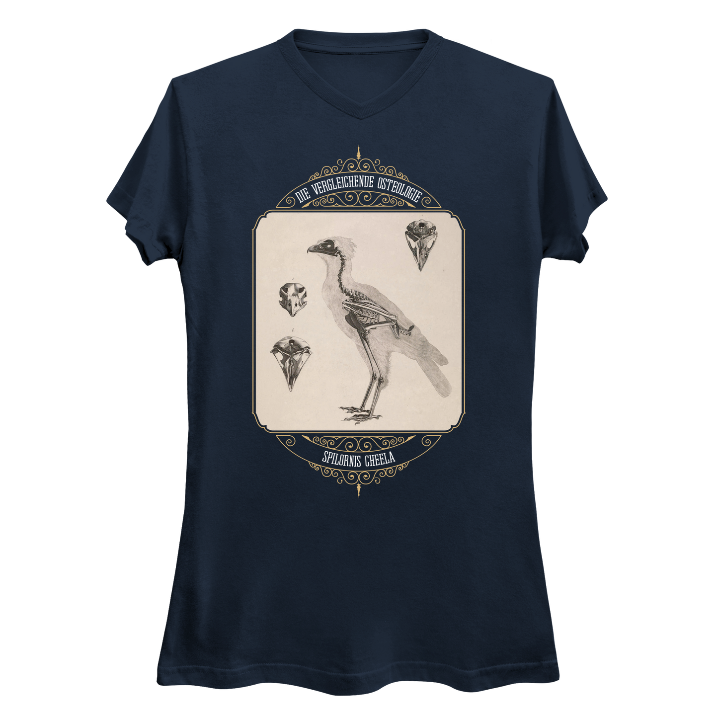 Crested Serpent Eagle Osteology Vintage Illustration Women's V-Neck